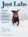 Just Labs January 01, 2026 Issue Cover