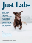 Just-Labs January 01, 2026 Issue Cover