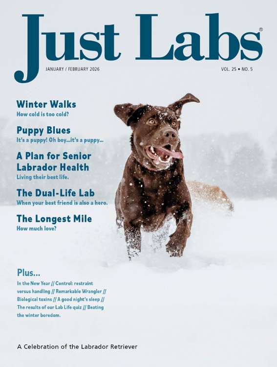 Just-Labs January 01, 2026 Issue Cover