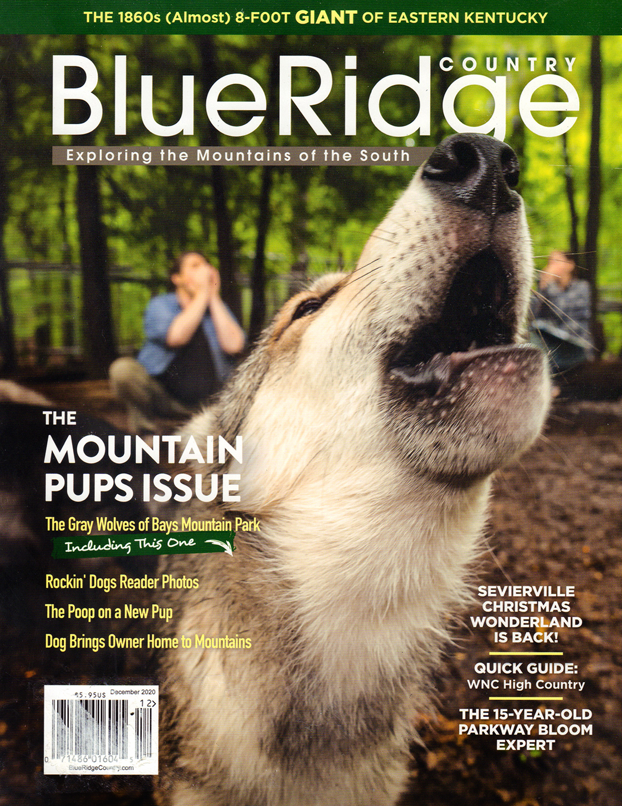 Blue-Ridge-Country December 01, 2020 Issue Cover