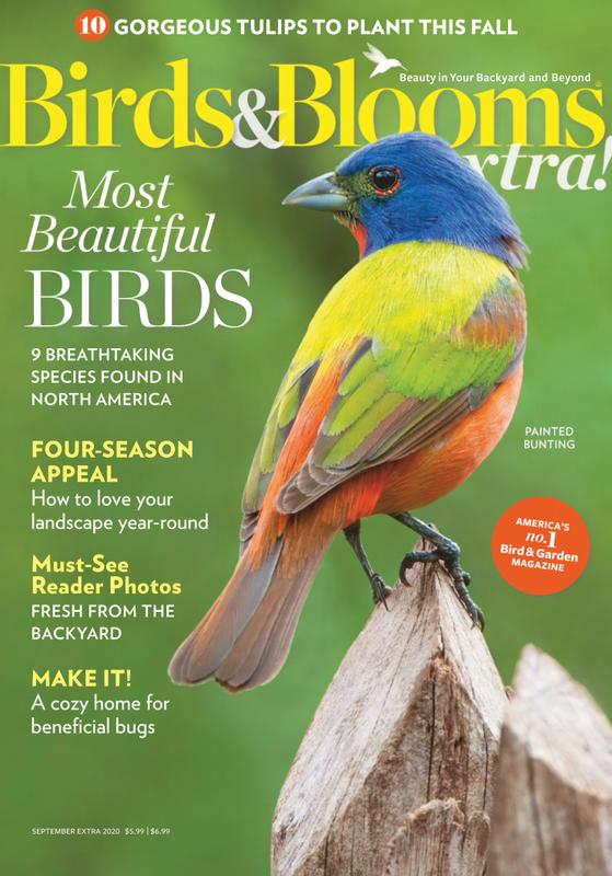 Birds-and-Blooms-Extra September 01, 2020 Issue Cover