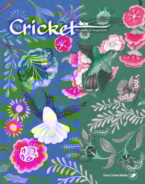 Cricket May 01, 2018 Issue Cover