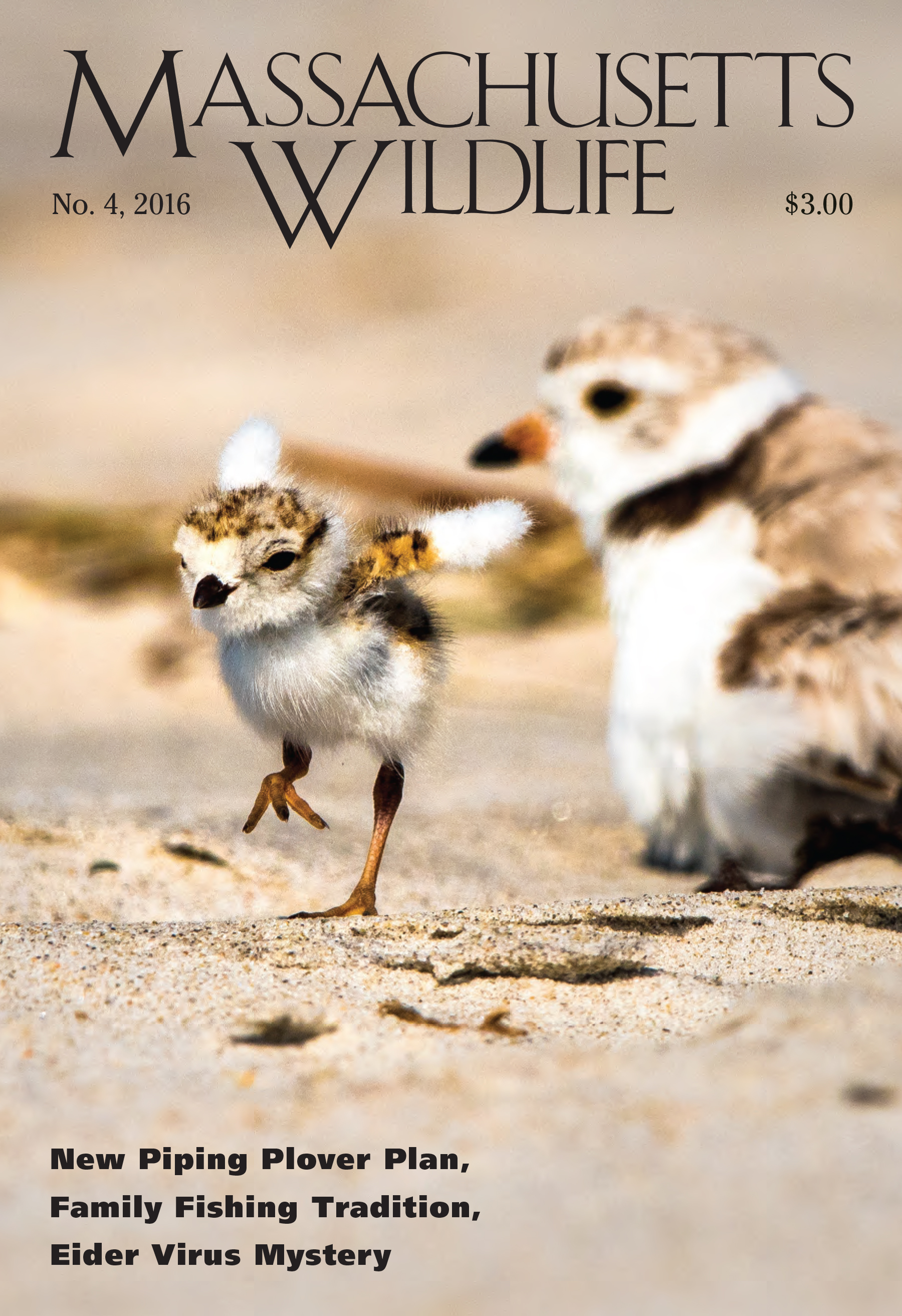 Massachusetts-Wildlife December 01, 2016 Issue Cover