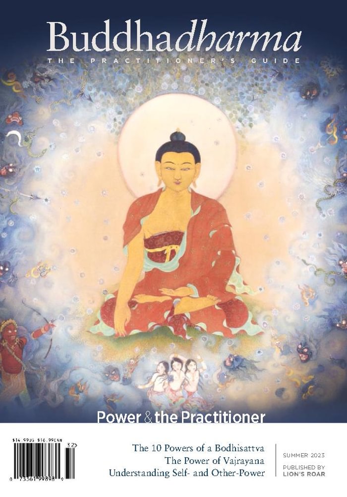 Subscribe to BUDDHADHARMA: THE PRACTIONERS QUARTERLY