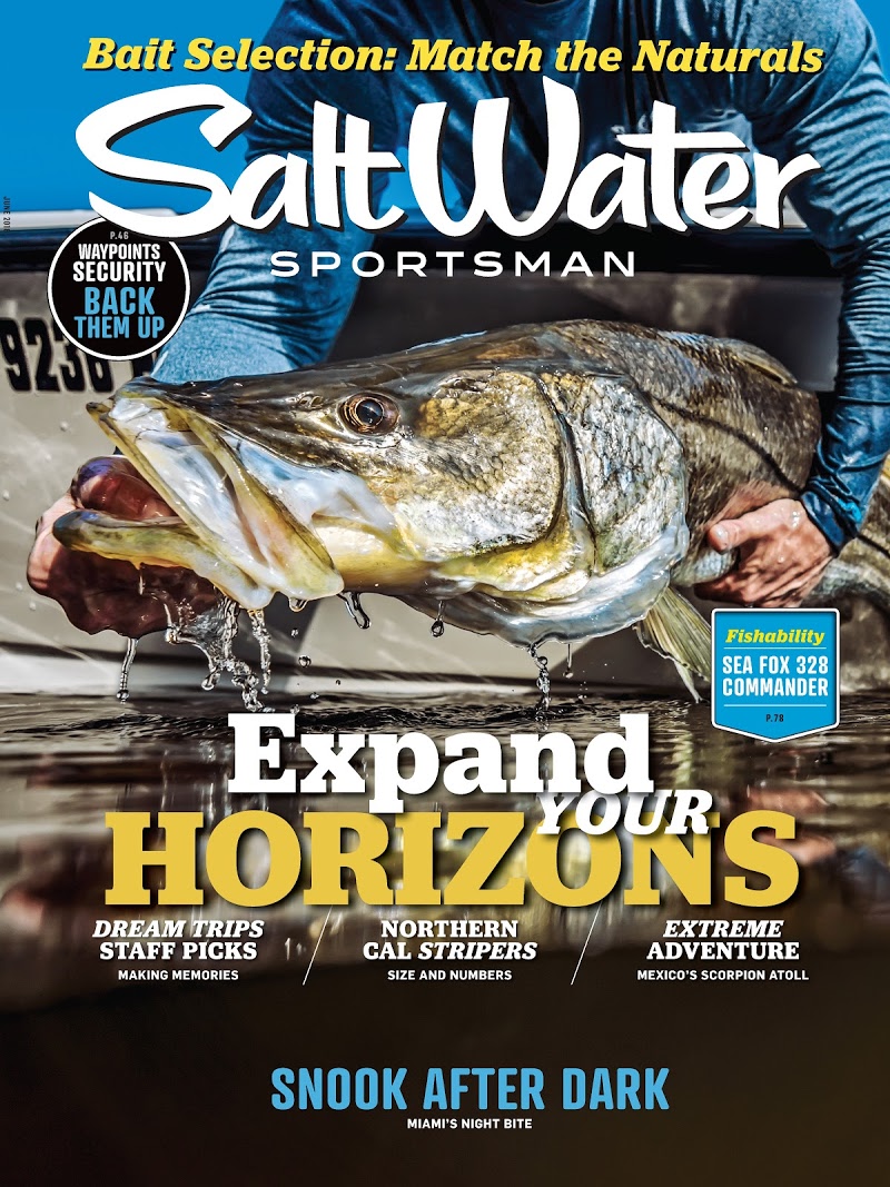 Salt-Water-Sportsman June 01, 2018 Issue Cover