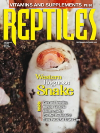Reptiles September 01, 2025 Issue Cover