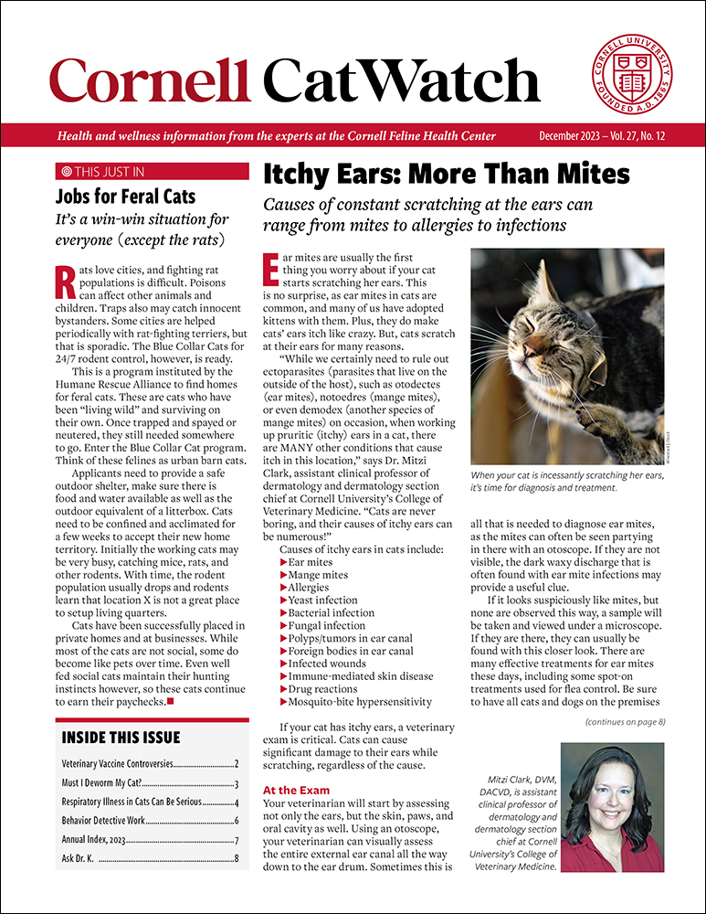 Catwatch December 01, 2023 Issue Cover