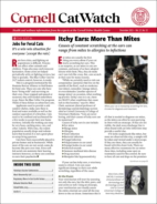 Catwatch December 01, 2023 Issue Cover