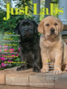 Just-Labs March 01, 2021 Issue Cover