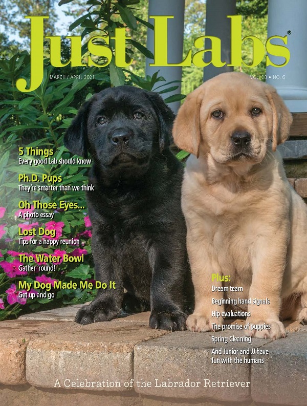 Just-Labs March 01, 2021 Issue Cover