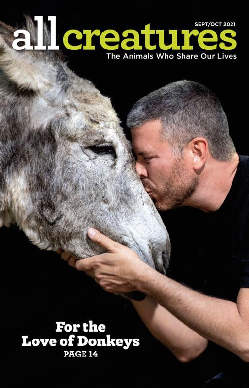 All-Creatures September 01, 2021 Issue Cover