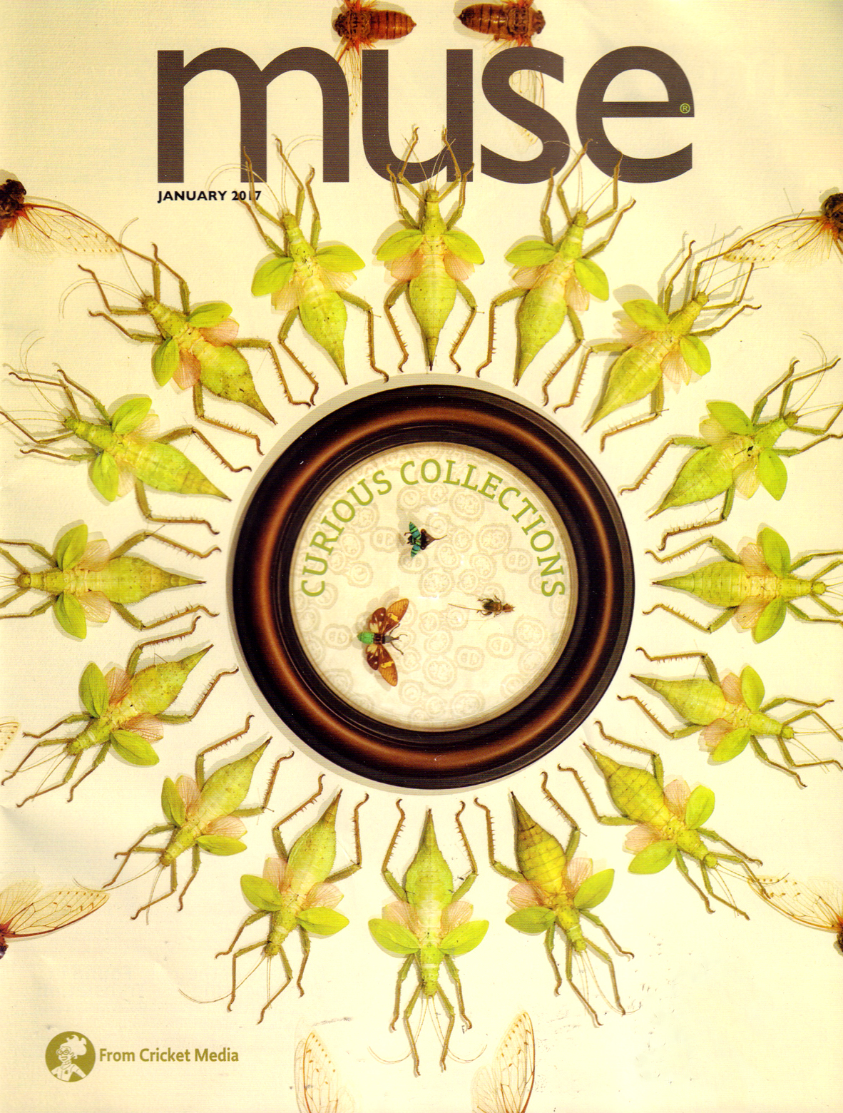 Muse January 01, 2017 Issue Cover