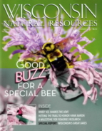 Wisconsin-Natural-Resources June 01, 2021 Issue Cover