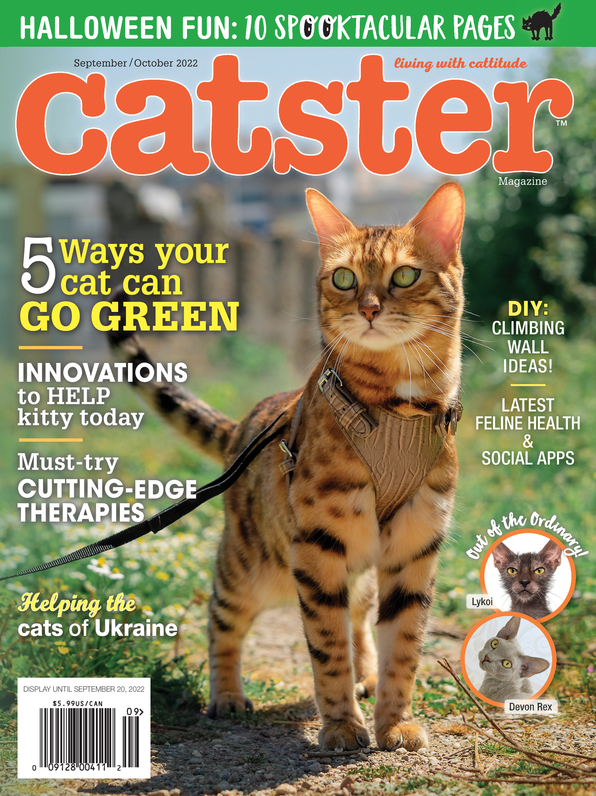 Catster September 01, 2022 Issue Cover