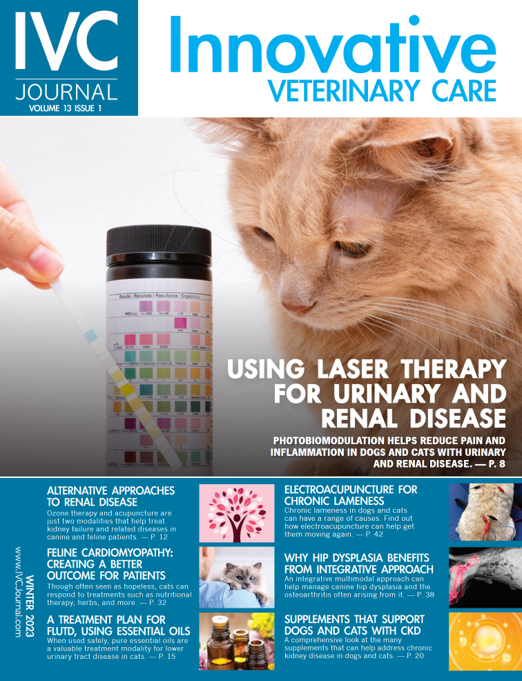 Innovative-Veterinary-Care-Journal December 01, 2022 Issue Cover