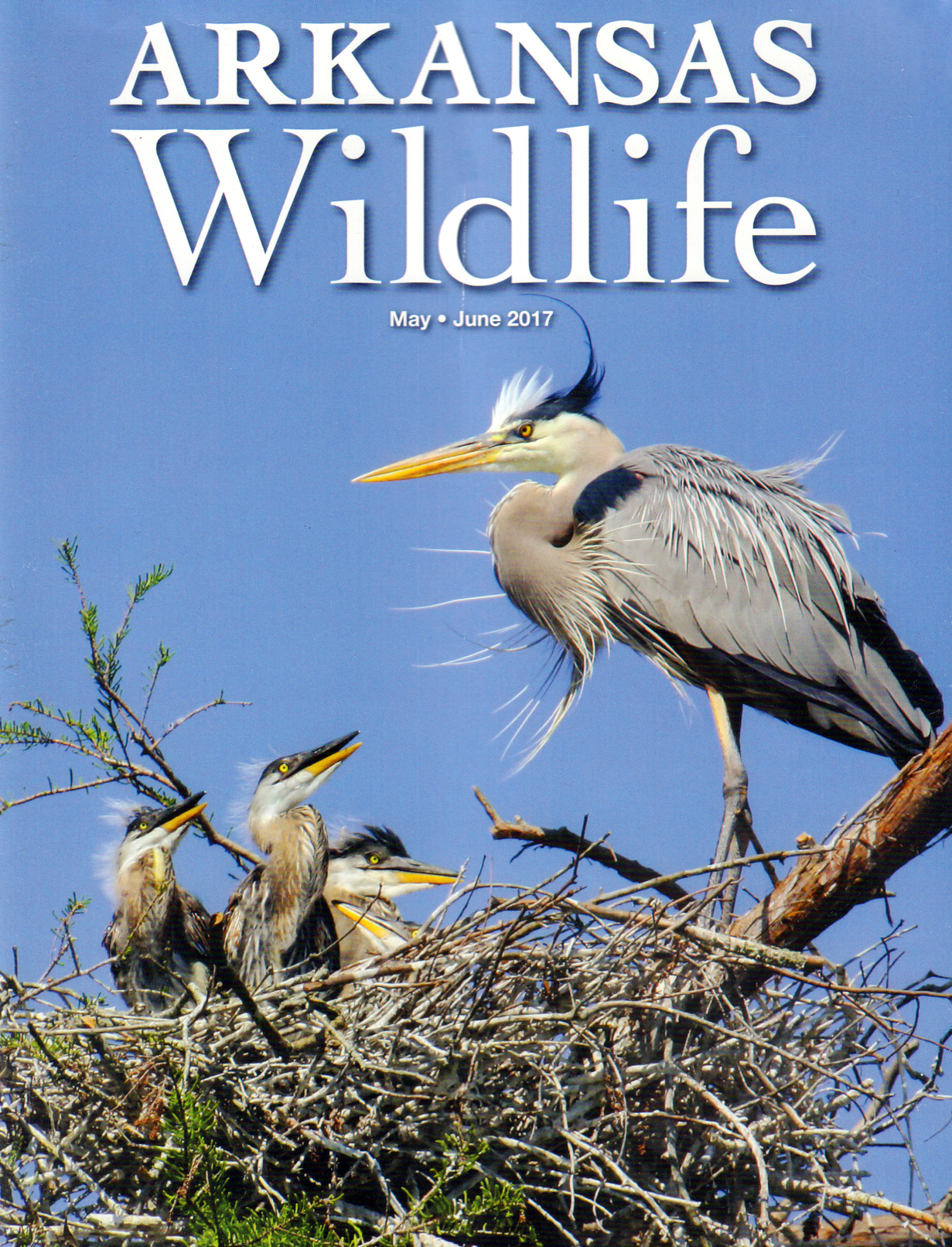 Arkansas-Wildlife May 01, 2017 Issue Cover