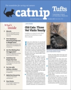 Catnip October 01, 2021 Issue Cover