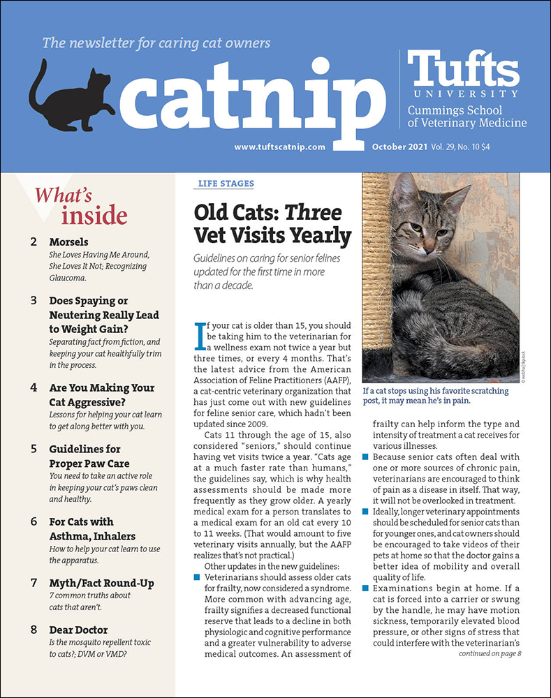 Catnip October 01, 2021 Issue Cover