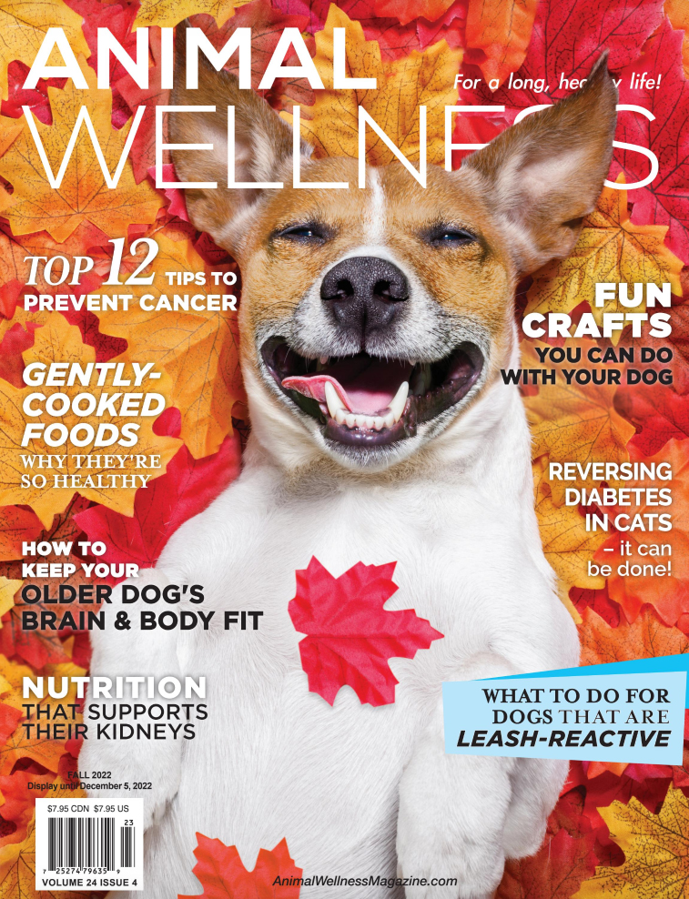 Animal-Wellness September 01, 2022 Issue Cover