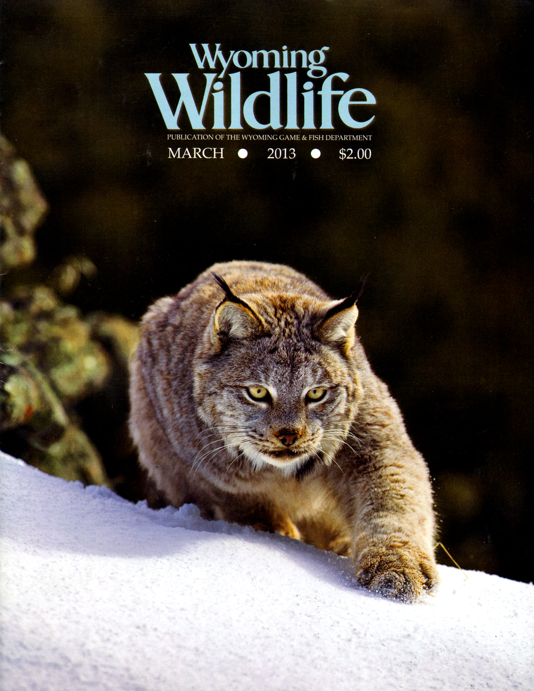 Wyoming-Wildlife March 01, 2013 Issue Cover
