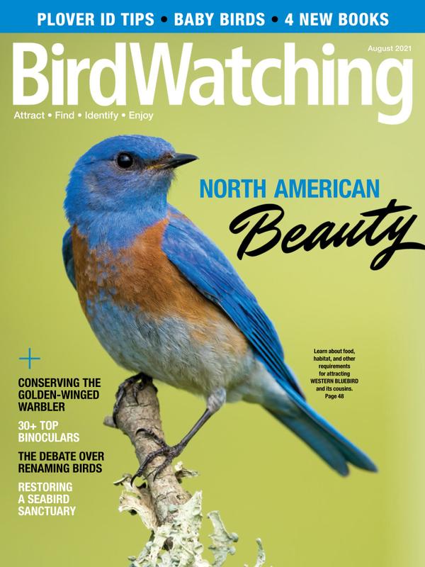 Bird-Watching August 01, 2021 Issue Cover