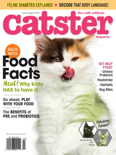 Catster July 01, 2019 Issue Cover