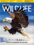 National-Wildlife February 01, 2018 Issue Cover