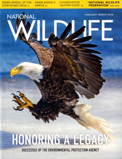 National Wildlife February 01, 2018 Issue Cover