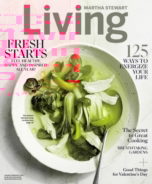 Martha-Stewart-Living January 01, 2018 Issue Cover