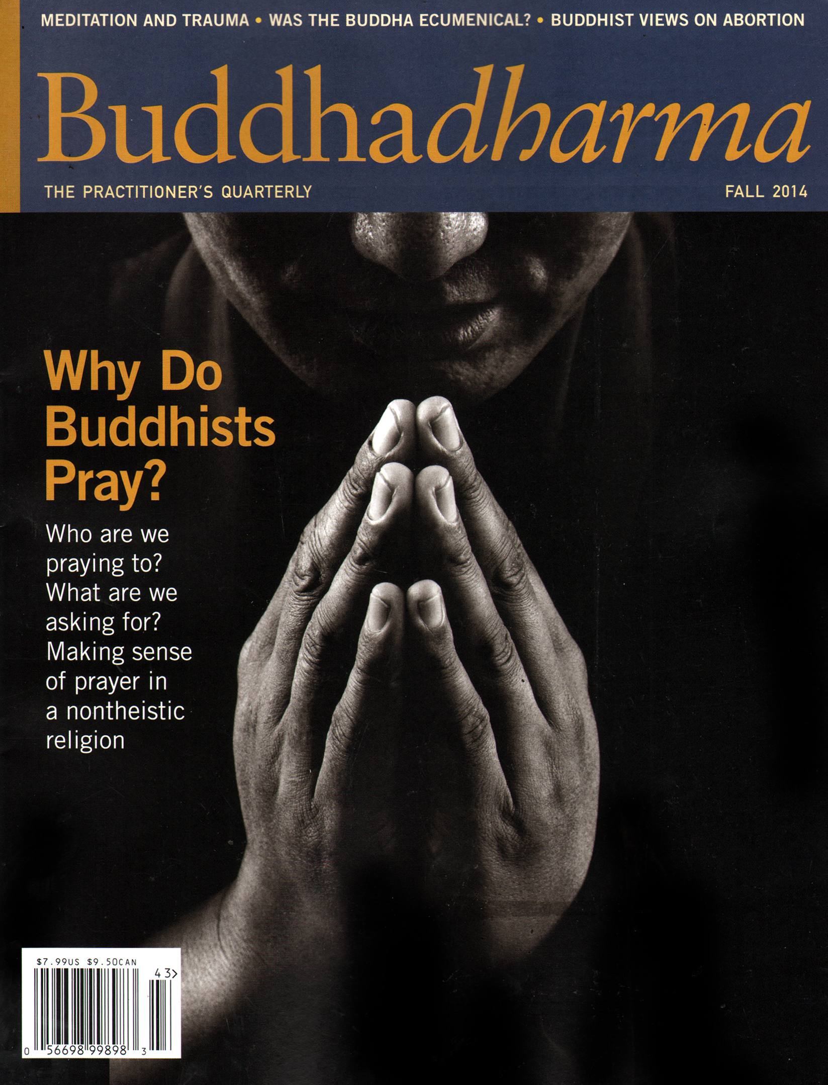 BUDDHADHARMA-THE-PRACTIONERS-QUARTERLY September 01, 2014 Issue Cover