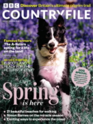 BBC Countryfile April 01, 2025 Issue Cover