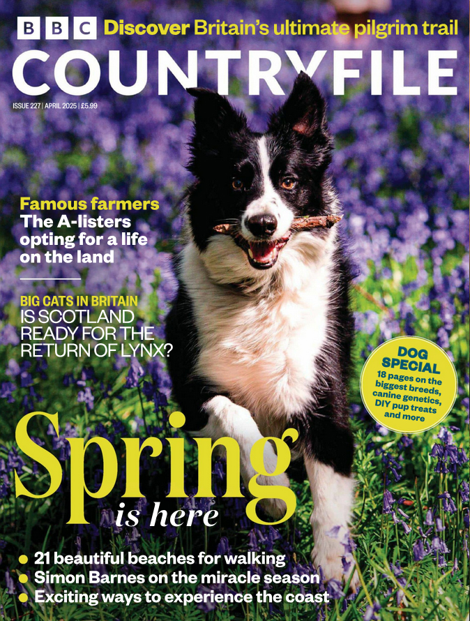BBC-Countryfile April 01, 2025 Issue Cover