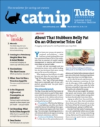 Catnip March 01, 2020 Issue Cover