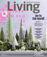 Martha-Stewart-Living December 01, 2016 Issue Cover