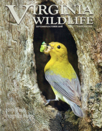 Virginia Wildlife September 01, 2018 Issue Cover