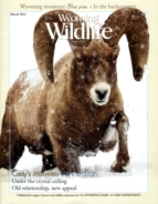 Wyoming-Wildlife March 01, 2014 Issue Cover