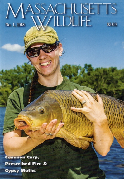 Massachusetts Wildlife March 01, 2018 Issue Cover