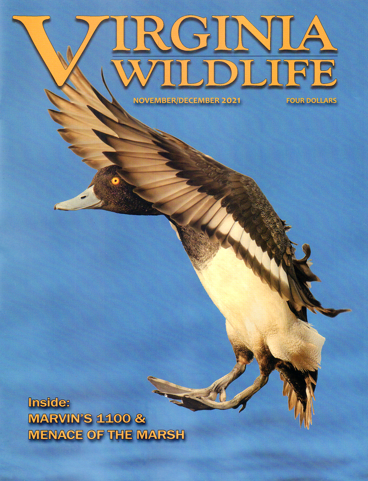 Virginia-Wildlife November 01, 2021 Issue Cover