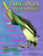 Virginia-Wildlife November 01, 2021 Issue Cover