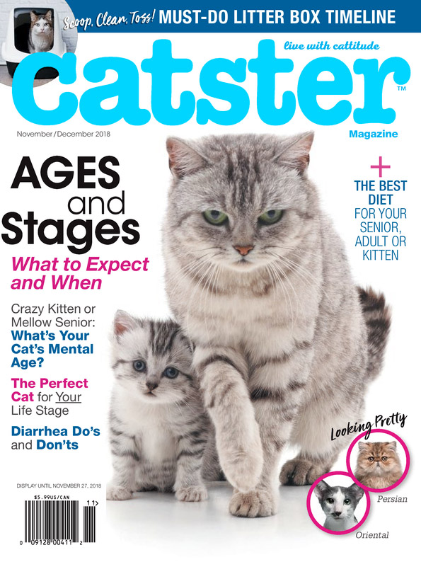 Catster November 01, 2018 Issue Cover