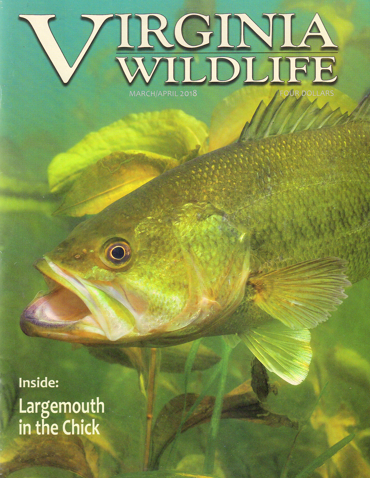 Virginia-Wildlife March 01, 2018 Issue Cover