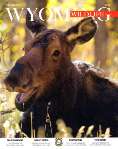 Wyoming Wildlife September 01, 2018 Issue Cover