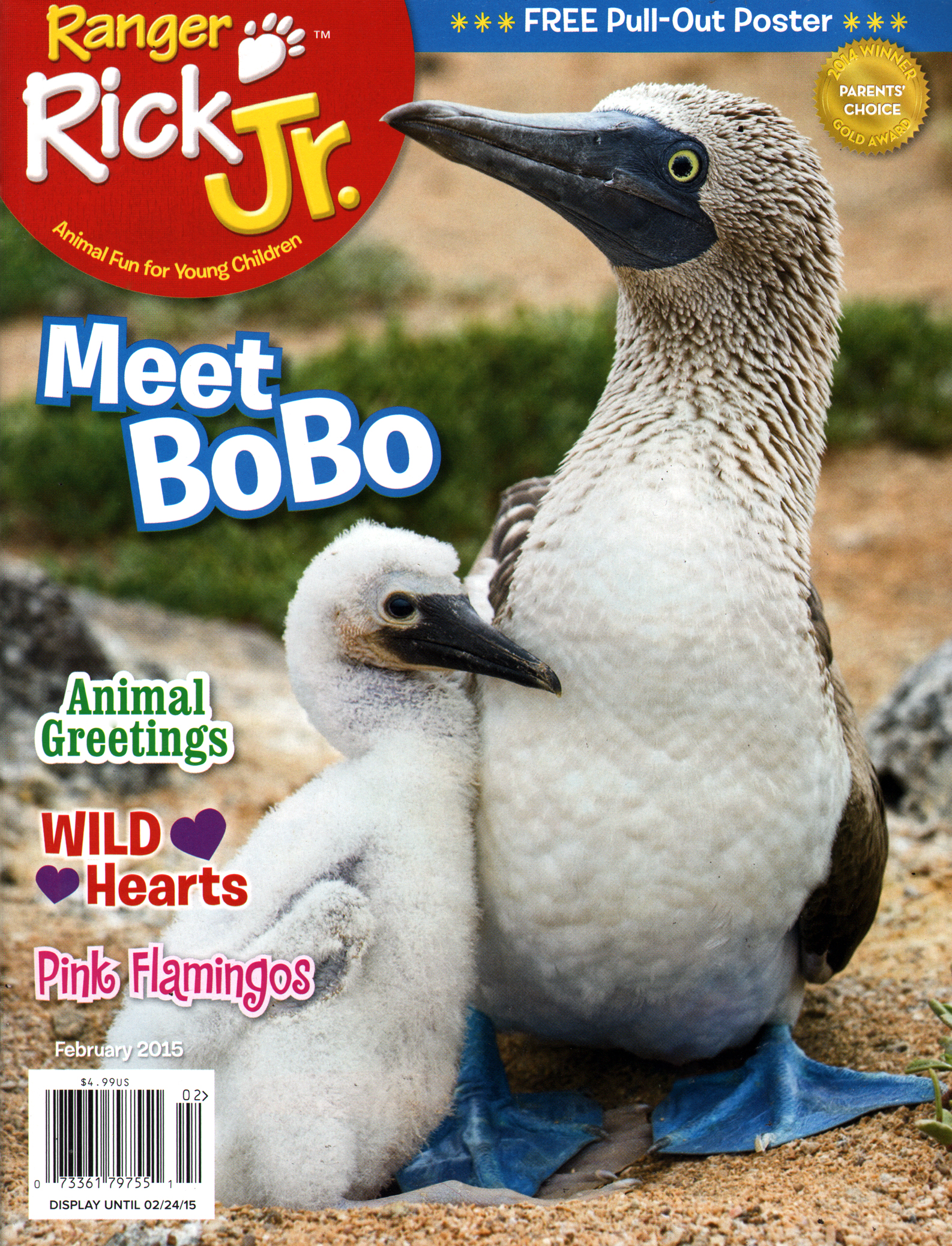 Ranger-Rick-Jr February 01, 2015 Issue Cover