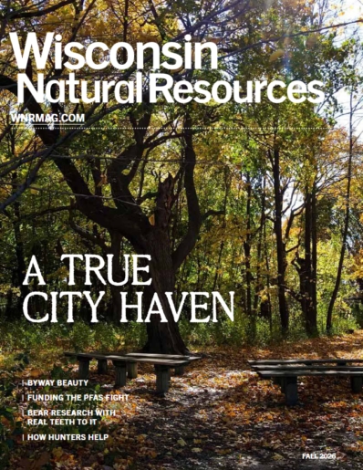 Wisconsin Natural Resources September 01, 2026 Issue Cover