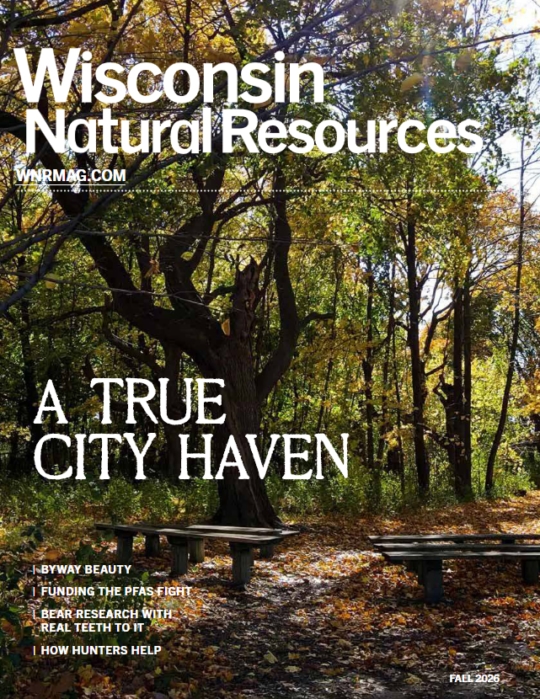 Wisconsin Natural Resources September 01, 2026 Issue Cover