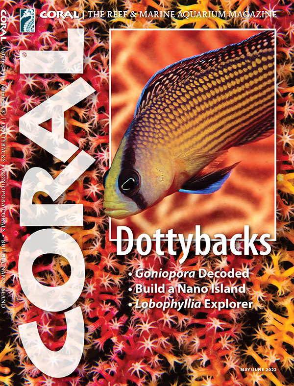 Coral May 01, 2022 Issue Cover