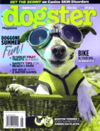 Dogster August 01, 2016 Issue Cover