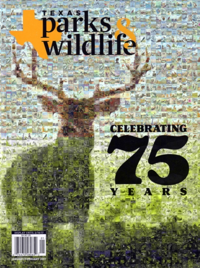 Texas Parks & Wildlife January 01, 2017 Issue Cover