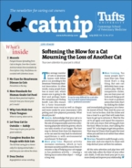 Catnip July 01, 2023 Issue Cover