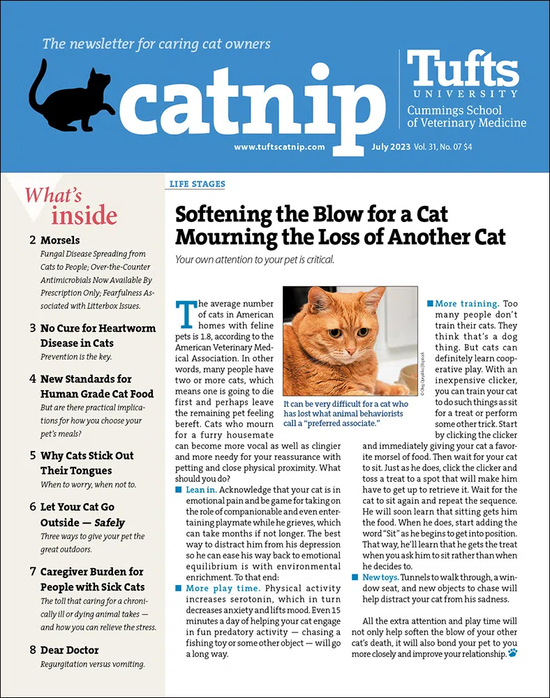 Catnip July 01, 2023 Issue Cover